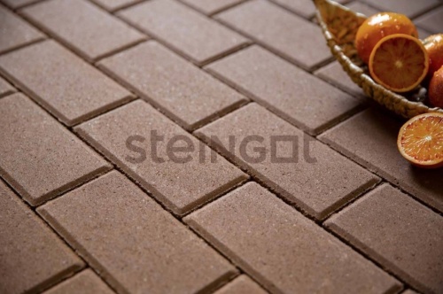Брусчатка 200*100*60 Коричневая (верхний прокрас), Steingot